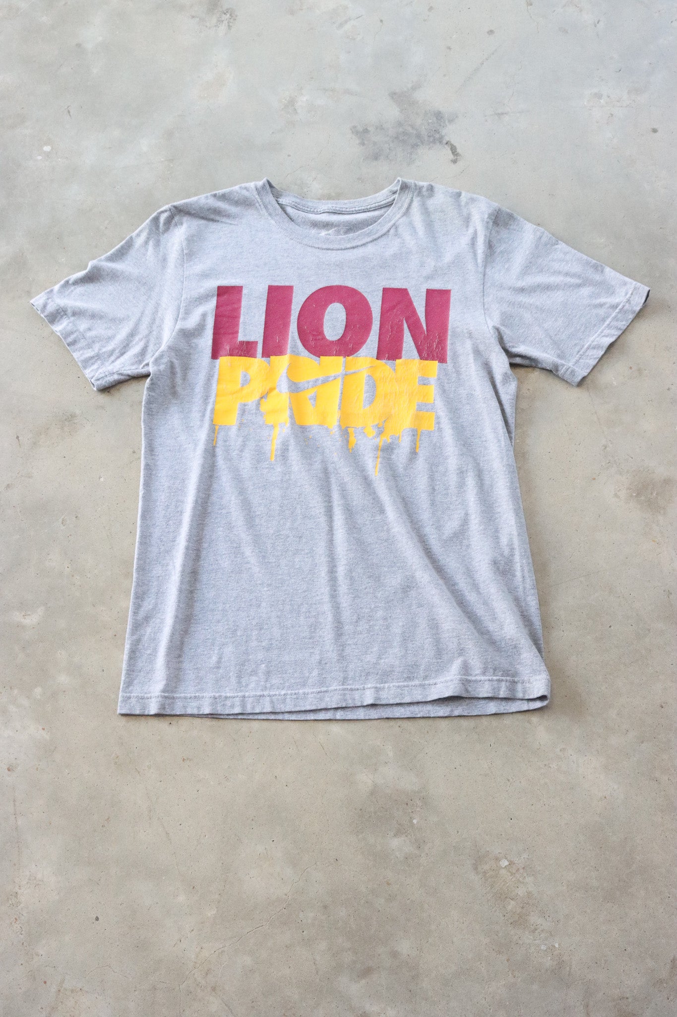 Vintage Lion Pride Nike Tee Small