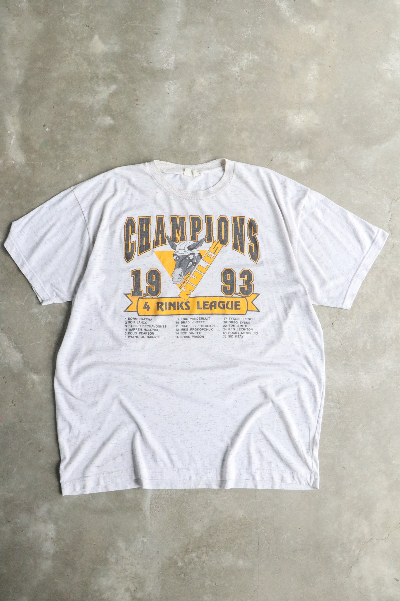 Vintage 1993 Hockey Champions Tee XL